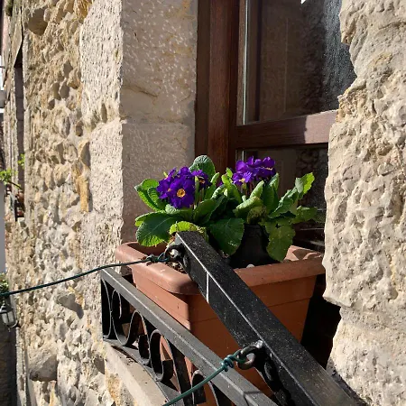 Casa Cuco *